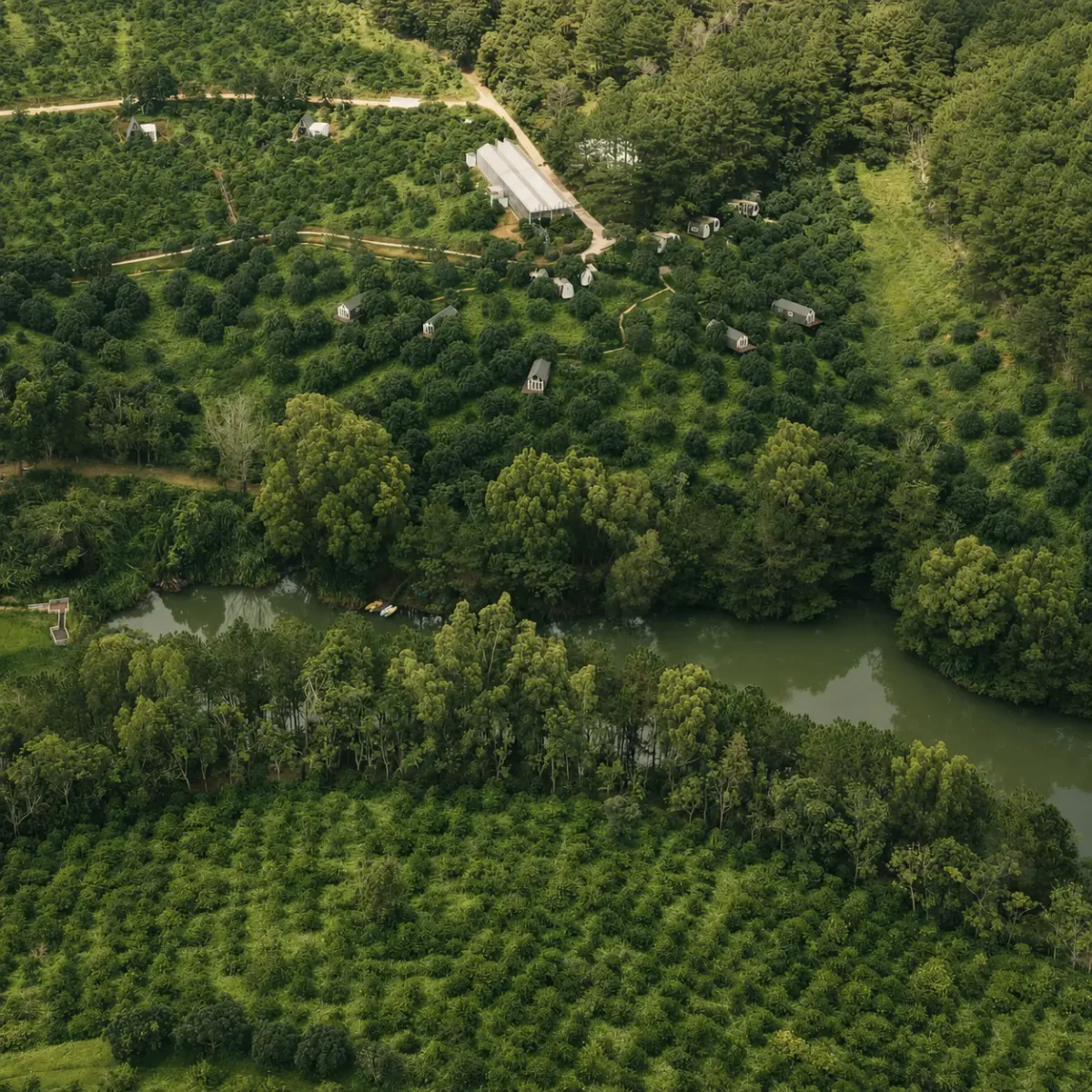 Вид на территорию retreat с рекой и домиками среди деревьев